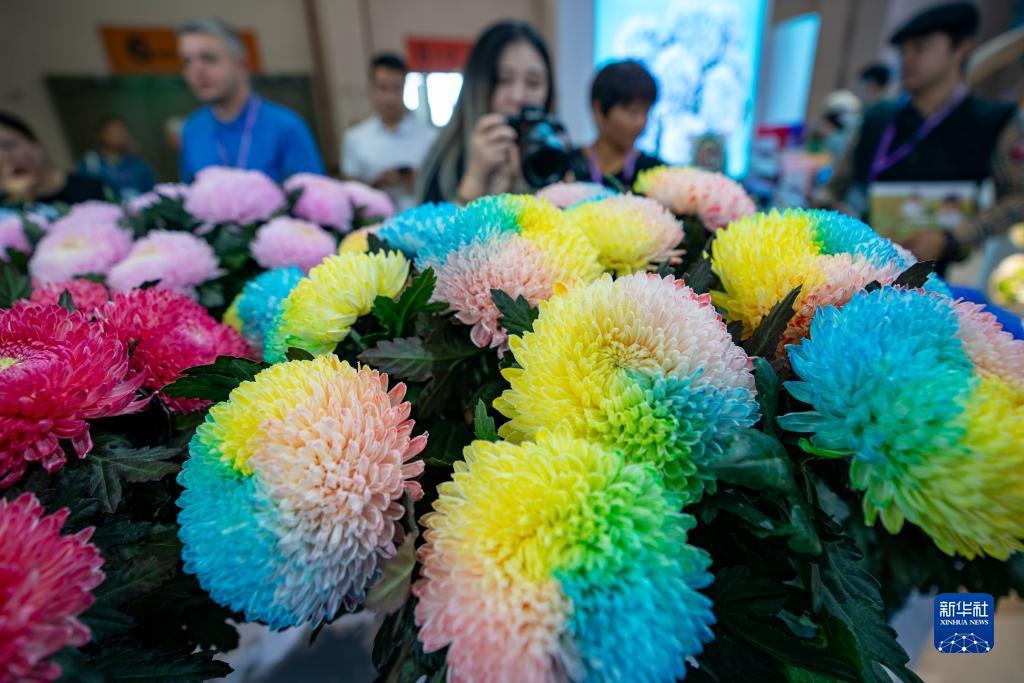 白菜网送彩金您
